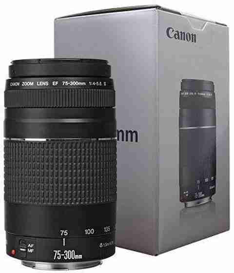 Canon EF 75-300 mm f/4-5.6 III Telephoto Zoom Telephoto Zoom Lens
