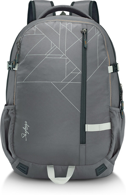 SKYBAGS Teckie 01 Laptop Backpack Grey 42 L Laptop Backpack