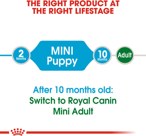 Royal Canin Mini Junior kg Dry Young Dog Food Price in India
