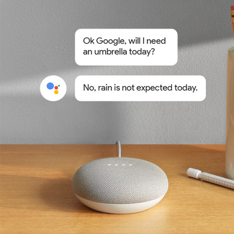 Google Home Mini with Google Assistant Smart Speaker