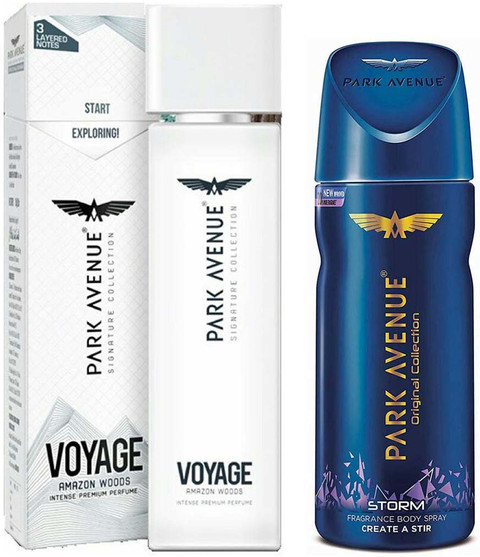 PARK AVENUE WOODS INTENSE PREMIUM PERFUME 120ml STORM BODY SPRAY