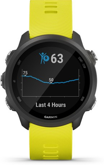 GARMIN Forerunner 245, GPS Running Smartwatch with Advanced