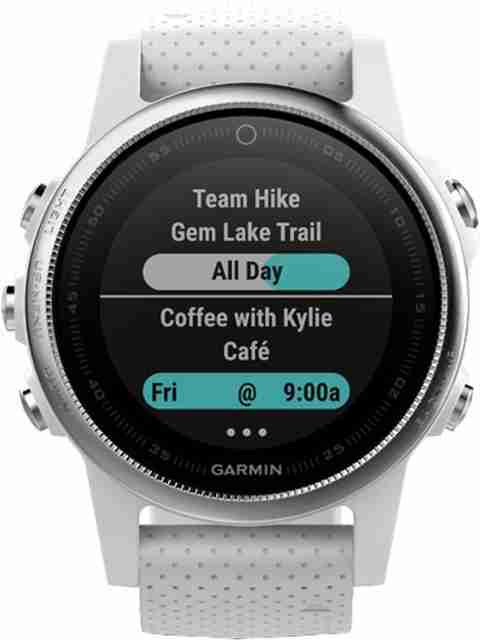GARMIN Fenix 5s 010-01685-30 Smartwatch Price in India - Buy
