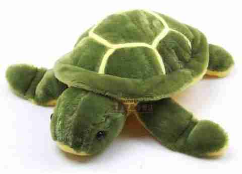 GENURE Tortoise Soft Toy Green kachua 003 35 mm Tortoise Soft