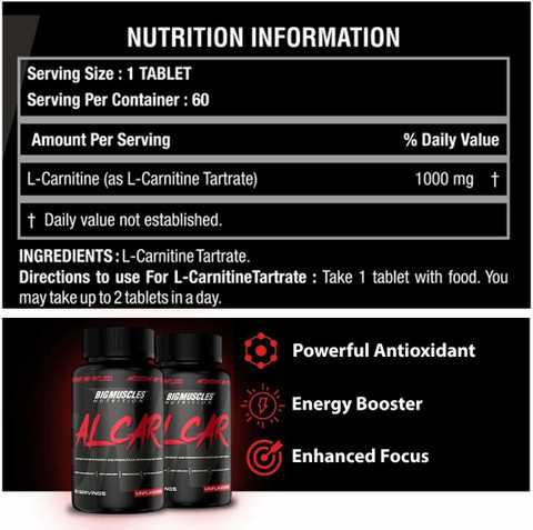 BIGMUSCLES NUTRITION ALCAR (ACETYL L-CARNITINE 1000mg Per Serving) | 60  Servings | Natural Fat Burner Price in India - Buy BIGMUSCLES NUTRITION  ALCAR (ACETYL L-CARNITINE 1000mg Per Serving)