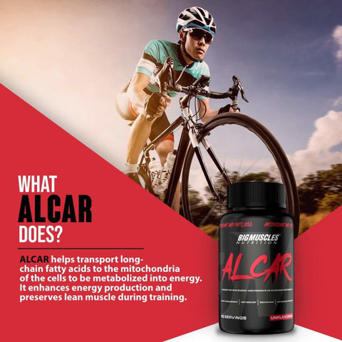 l carnitine vermageren Carnigen Premium Liquid L-Carnitine for Performance