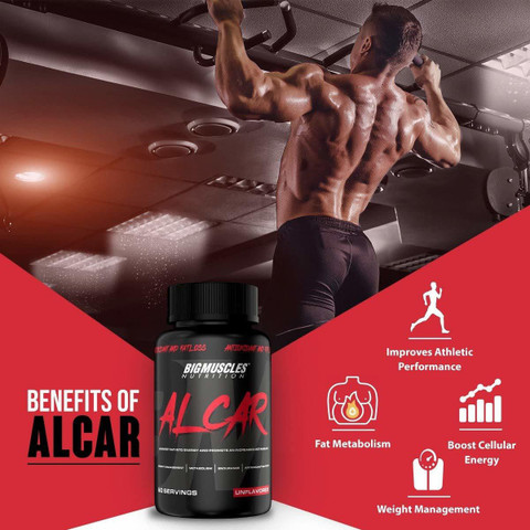 beneficios l carnitina l carnitina funciona realmente El