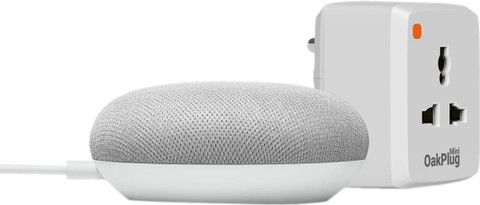 Buy Google Nest Mini with Oakter WiFi Smart Plug Amp with Google