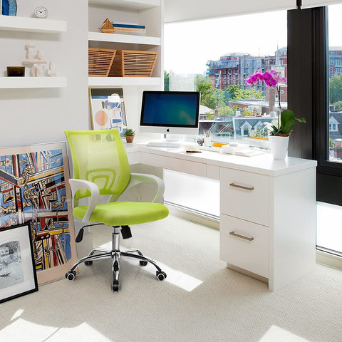 Finch Fox Low Back Royal Ergonomic Desk Mesh Chair in Green Colour Fabric  Office Executive Chair