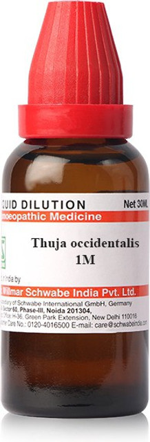 Dr.Willmar Schwabe India Thuja Occidentalis 1M 1M Liquid Price in India -  Buy Dr.Willmar Schwabe India Thuja Occidentalis 1M 1M Liquid online at  Flipkart.com