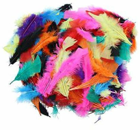 Utkarsh Natural Dyed Multicolor Multi-Purpose Craft Feathers