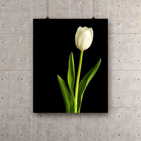 Artzfolio Digital Reprint 12.5 inch x 15.6 inch Painting Price in