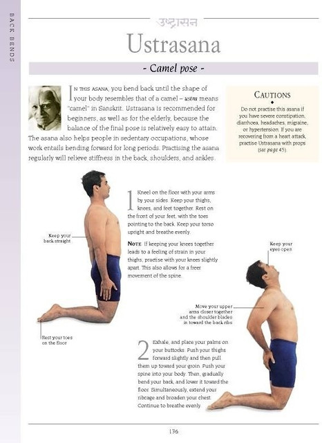 Iyengar Yoga Yoga For Pulled Lower Back Muscle Iyengar Yoga For