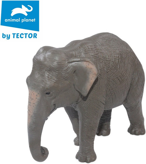 Tector Asian Elephant (387266) - By Animal Planet (Official
