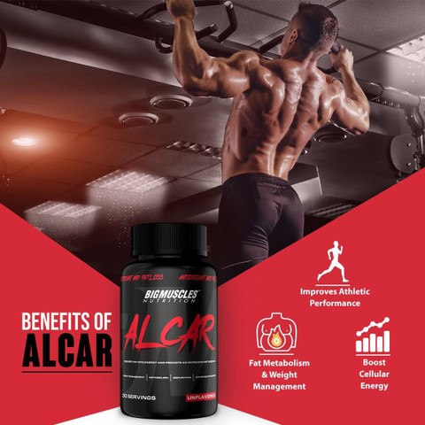 BIGMUSCLES NUTRITION ALCAR (ACETYL L-CARNITINE 1000mg Per Serving) | 30  Servings | Natural Fat Burner Price in India - Buy BIGMUSCLES NUTRITION  ALCAR (ACETYL L-CARNITINE 1000mg Per Serving) | 30 Servings |