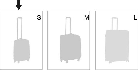 SKYBAGS Footloose Expandable Cabin Suitcase Wheels 22 inch