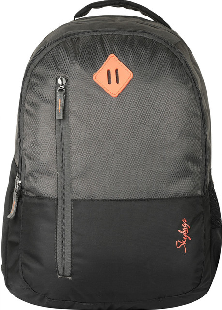 SKYBAGS New Arthur 30 L Laptop Backpack Grey Price in India