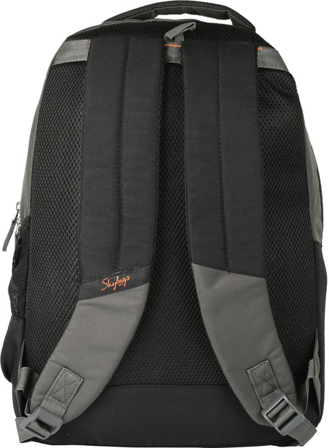SKYBAGS New Arthur 30 L Laptop Backpack Grey Price in India