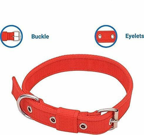 Hundur Store Dog Neck Collar Belts and Rope Set Waterproof For All