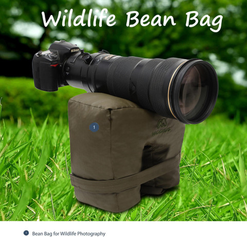 MOBIUS TRIUMPH WILDLIFE PHOTOGRAPHY BEAN BAG OLIVE GREEN Camera
