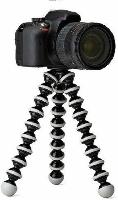 CIRCUS TRIPOD REGULAR KINOKO CIRCUS TRIPOD REGULAR KINOKO CIRCUS TRIPOD REGULAR KINOKO
