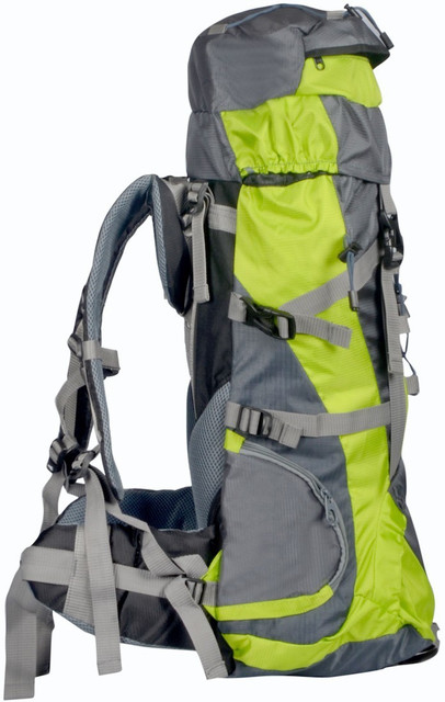 BAGS N PACKS Footloose Rucksack 55 L Green Price in India