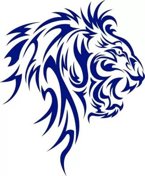 AVSARACHNA Sticker Decal for Car Bike Price in India Buy