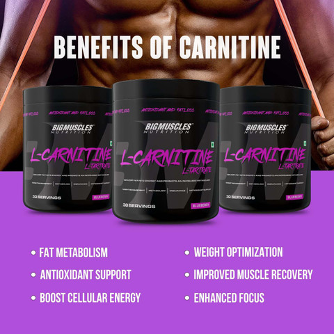 BIGMUSCLES NUTRITION L-Carnitine L-Tartrate Powder [30 Servings, Blueberry]  | 1900 mg | Price in India - Buy BIGMUSCLES NUTRITION L-Carnitine L-Tartrate  Powder [30 Servings, Blueberry] | 1900 mg | online at Flipkart.com