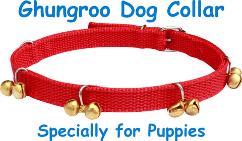 BODY BUILDING Dog Belt Red Ghungroo Dog Collar Specially for Small Puppies  Dog Everyday Collar