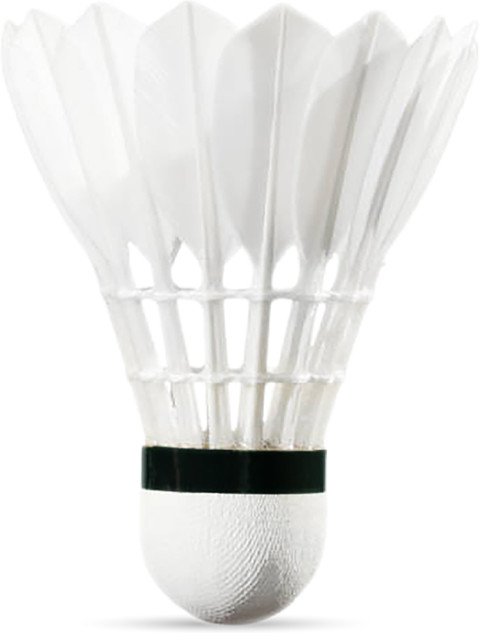 phk☆ Buy TRIUMPH Badminton Racket , Badminton Shuttle Cock