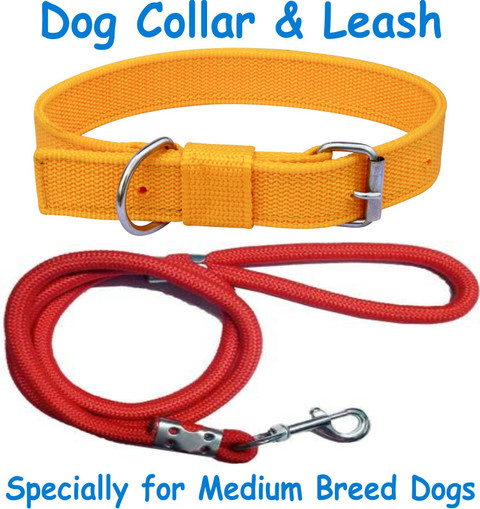 Dog Belt Unique Dog Collars And Leashes All4pets Nylon Leash