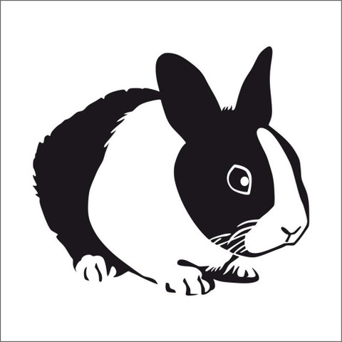 Nirantara Enterprises 91 cm Beautiful Rabbit Sticker And Whater
