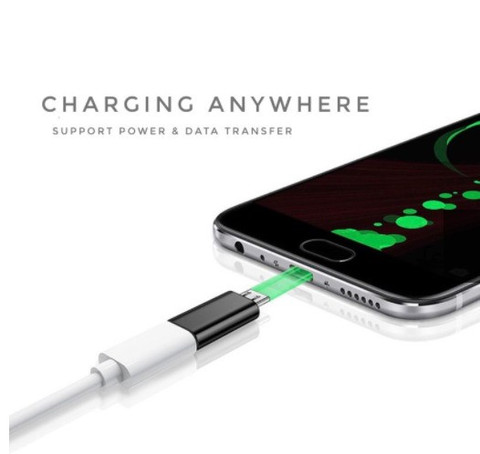 99Gems Multicolor USB Type C Female to Micro USB Male Adapter Connector  Phone Converter