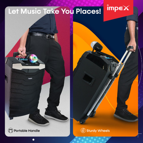 Buy IMPEX TS-1101 Multimedia Portable with USB/SD/TF/FM Radio/AUX