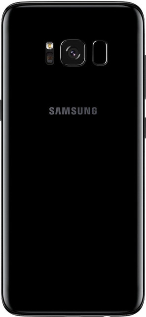 TrofT Samsung Galaxy S8 Back Panel: Buy TrofT Samsung Galaxy S8