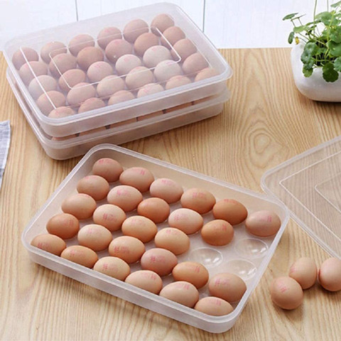 TRADEZIE Egg Tray Holder with Cover | for 24 Eggs Plastic Egg