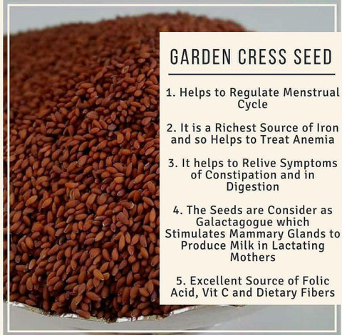 Dhawak Halim Seeds Garden Cress Seeds for Eating & Weight loss Immunity  Booster Seeds Garden Cress Seeds Price in India - Buy Dhawak Halim Seeds  Garden Cress Seeds for Eating & Weight