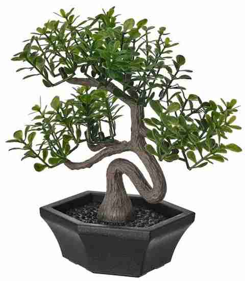 IKEA Bonsai Wild Artificial Plant with Pot Price in India - Buy IKEA Bonsai  Wild Artificial Plant with Pot online at Flipkart.com