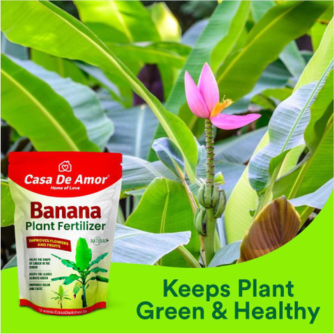 Casa De Amor Banana Plant Fertilizer Plant Feeds & Growth Promoter for Banana  Plants (400 gm) Fertilizer Price in India - Buy Casa De Amor Banana Plant  Fertilizer Plant Feeds & Growth