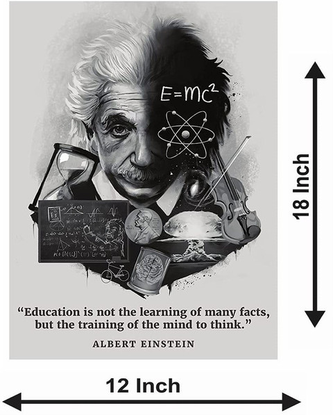 版画 roamcouch Einstein Albert Einstein Poster with Frame F-9