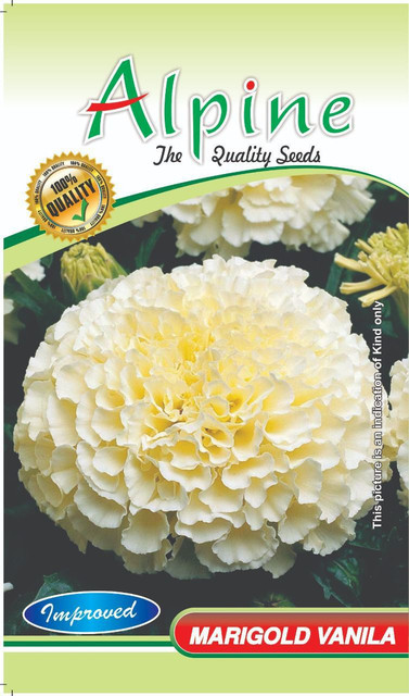 lotus flower with seeds 5 BOWL LOTUS Mixed Colors Dwarf Nelumbo Nucifera Aquatic Flower Seeds   Seedville USA