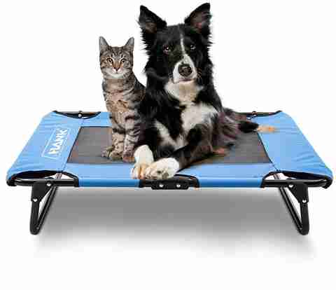 Hank Elevated Dog Bed |Washable Foldable Puppy beds Comfortable