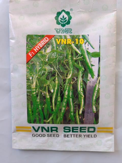 PSA10DB ギニュー 5503 VNR VNR-10 F1 hybrid 10 gram Seed Price in India - Buy VNR VNR-10