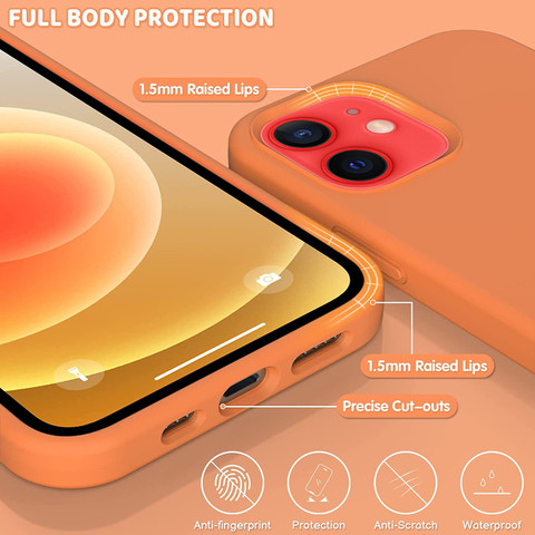 Orange Kumquat Apple Case Loxxo Back Cover For IPhone 12 12 Pro