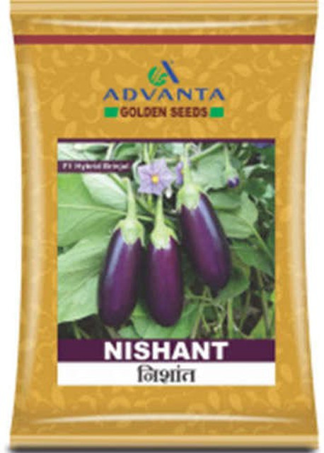 OMOM f1 hybrid upl advanta nisant brinjal Seed Price in India