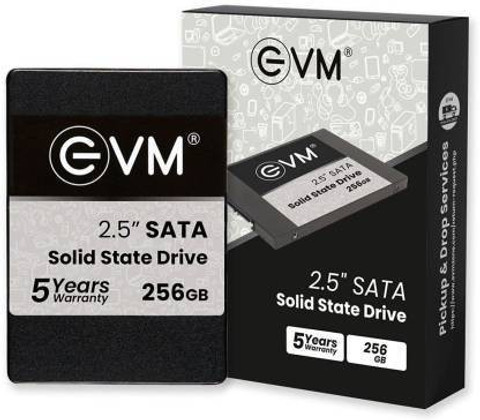 EVM sata 256 GB Desktop, All in One PC's, Laptop, Network Attached
