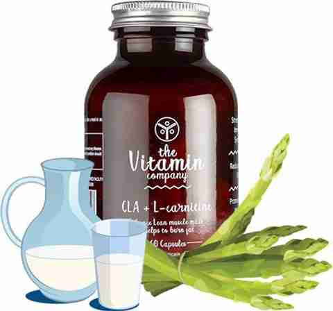 cla vs l-carnitine The Vitamin Company CLA + L-carnitine, Enhance Lean Muscles & Reduce Body Fat Price in India