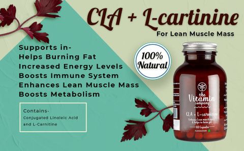 conjugated linoleic acid and l carnitine Cellucor CLK Price History of Nutrabay Pro