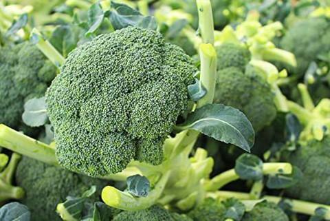 KANAYA Brocoli Seed Price in India - Buy KANAYA Brocoli Seed