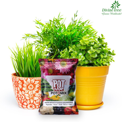 Willing plant ordinal pot W.P-004 Mix⑧ YUCCABE ITALIA FOXB PCUP 8 Inch Pots for Plants Highly Durable